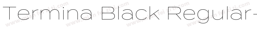 Termina Black Regular字体转换